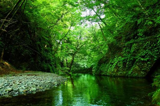 尚仁沢湧水 尚仁沢湧水 尚仁沢湧水,水面反射,栃木県の写真素材