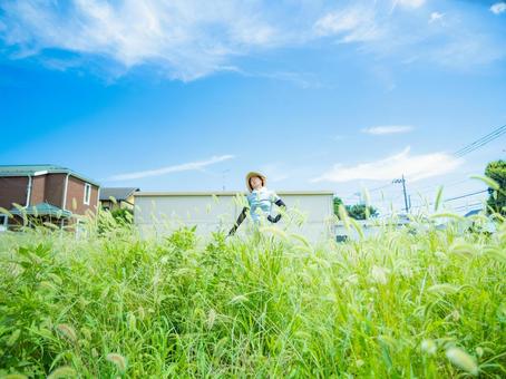 35：草むしりをする女性 草刈り,雑草,庭仕事の写真素材