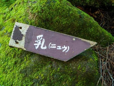 白駒の森 白駒池,北八ヶ岳,にゅうの写真素材