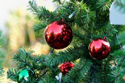 クリスマス７ クリスマス,ツリー,モミの写真素材