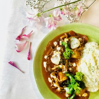 ビーフシチュー ビーフシチュー 洋食,ランチ,手作りの写真素材