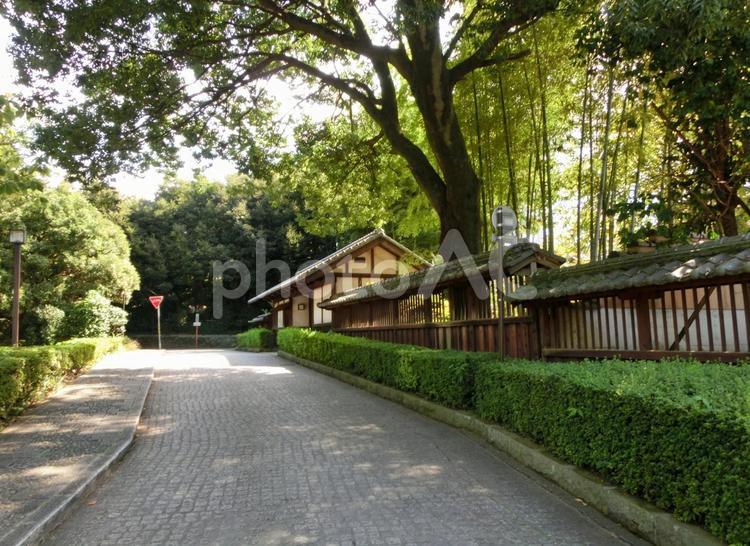 鷹見泉石記念館の風景-5 鷹見泉石記念館,茨城県古河市,古河藩の写真素材