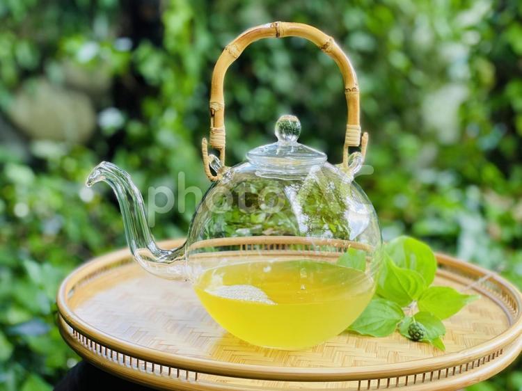 静寂を味わう、緑茶の時間 緑茶,新茶,初夏の写真素材