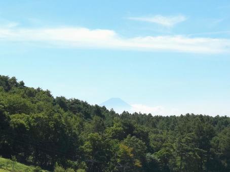 夏の富士山 夏の富士山の写真