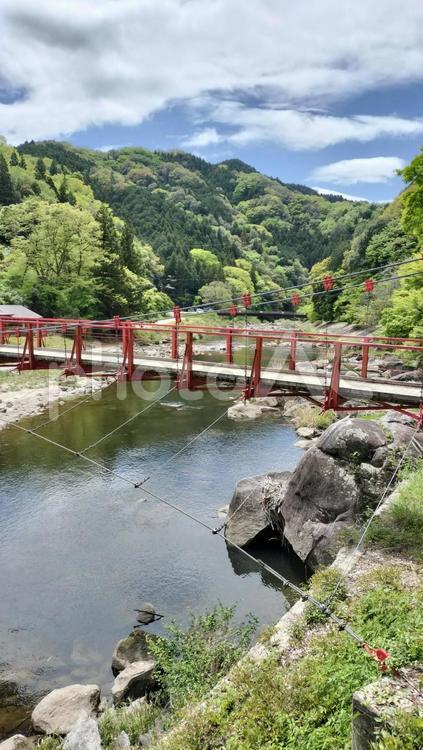 香嵐渓 香嵐渓,香嵐橋,新緑の写真素材