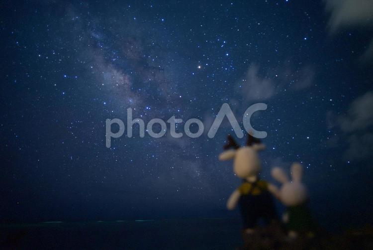 あみぐるみの後ろ姿と星空 海,あみぐるみ,星空の写真素材