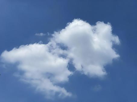 空に雲 空に雲の写真