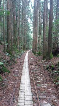 トロッコ道 トロッコ道 鹿児島県,屋久島,廃線の写真素材