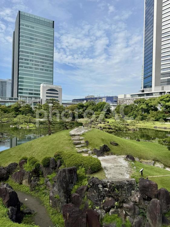 6月　旧芝離宮恩賜庭園 岩,庭石,水たまりの写真素材