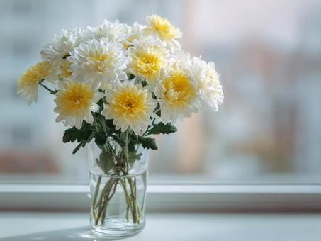 秋の菊で彩る癒しの空間 秋の菊で彩る癒しの空間の写真