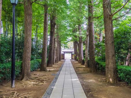 【東京都】荻窪・大田黒公園 【東京都】荻窪・大田黒公園の写真