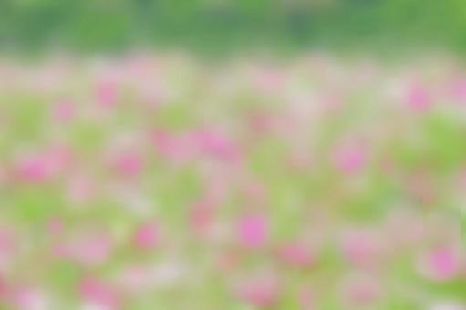 Blurred flower field image texture, JPG