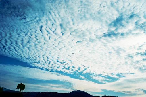 日暮れ時のうろこ雲（フィルム写真） うろこ雲,いわし雲,波状雲の写真素材