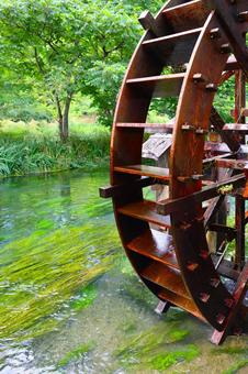 River surface Aquatic plants, JPG River surface Aquatic plants, JPG
