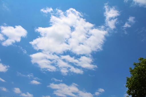 Photo, blue sky, sky, cloud, 