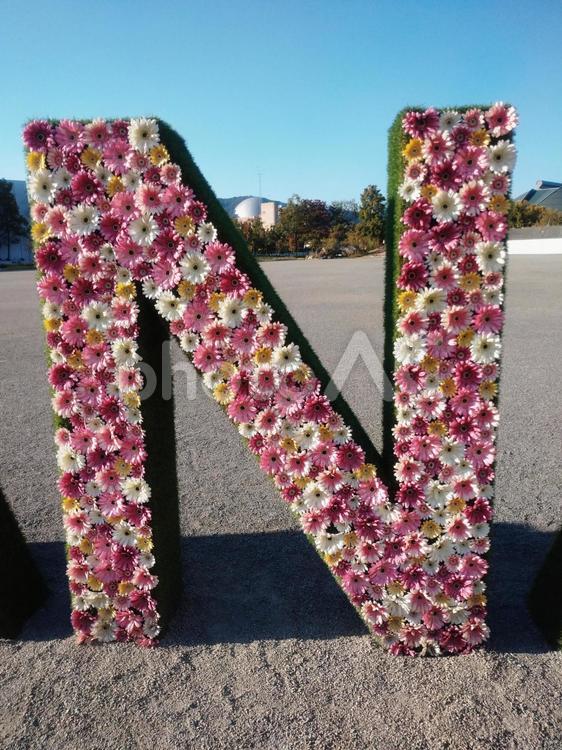 色とりどりのお花で飾られたアルファベット 花,ピンク,屋外の写真素材