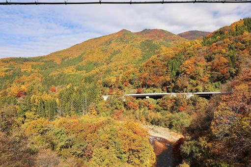 紅葉　松川渓谷 山,秋,風景の写真素材