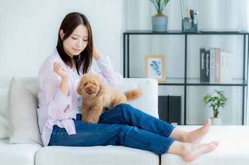 部屋でペットとくつろぐ若い女性 部屋でペットとくつろぐ若い女性 ペット,女性,犬の写真素材
