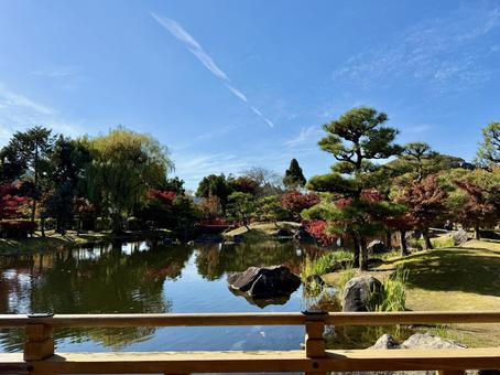 秋の昼間の紫式部公園　11月　紅葉 11月,昼間,カラフルの写真素材