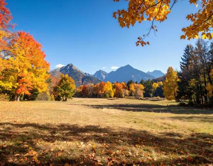 紅葉が広がる秋の自然風景 紅葉が広がる秋の自然風景の写真