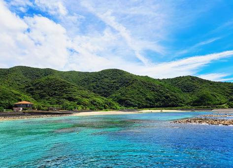 奄美 タエン浜 奄美 タエン浜 奄美,奄美大島,タエン浜の写真素材