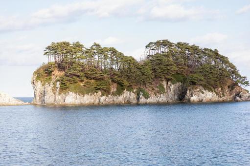 海に浮かぶ白い岩の上の松の木 海に浮かぶ白い岩の上の松の木 冬,風景,景色の写真素材