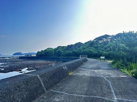 海岸 夏の海 海岸 夏の海の写真