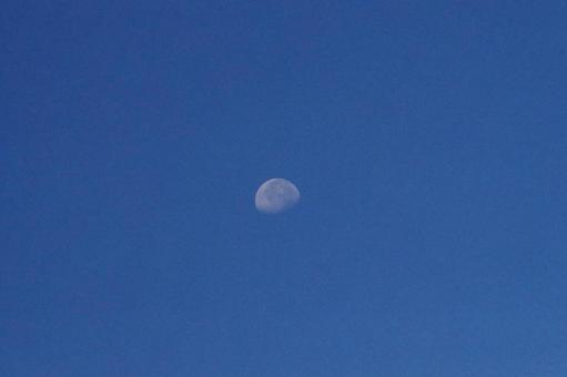 真っ青な快晴の空に浮かぶ白い月 真っ青な快晴の空に浮かぶ白い月の写真