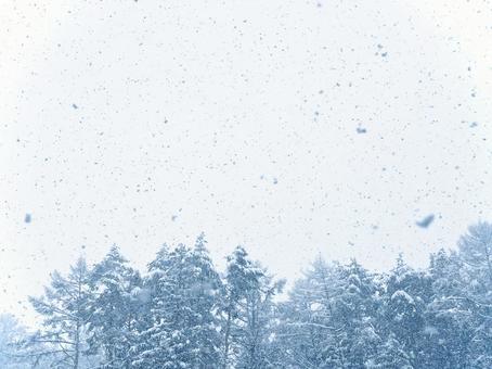 白い世界 05 雪,白銀,冬景色の写真素材