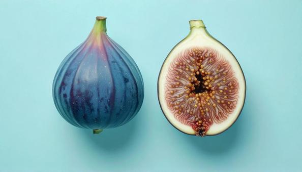 イチジクの写真