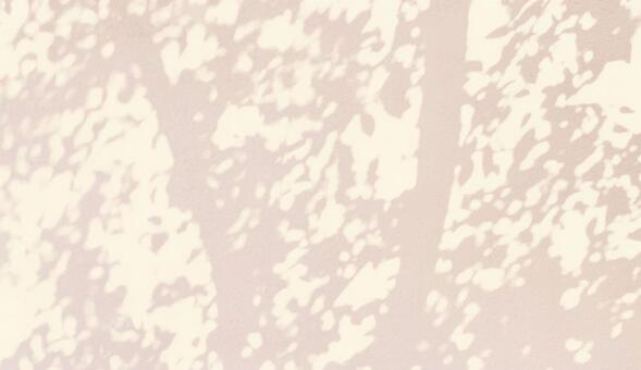 植物　影　光　日差し 影,木漏れ日,こもれびの写真素材