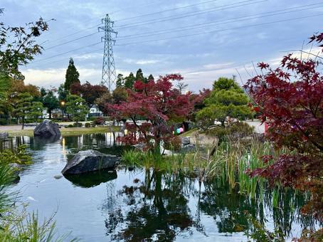 秋の夕方　福井県紫式部公園 紫式部公園,福井県,庭園の写真素材