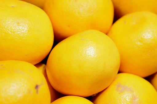 grapefruit, JPG grapefruit, JPG