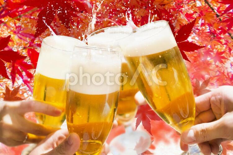 秋の紅葉と生ビールで乾杯 ビール,秋,生ビールの写真素材