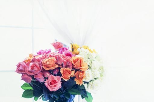 Photo, roses, flower, red, 