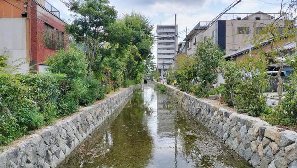 京都 川の写真