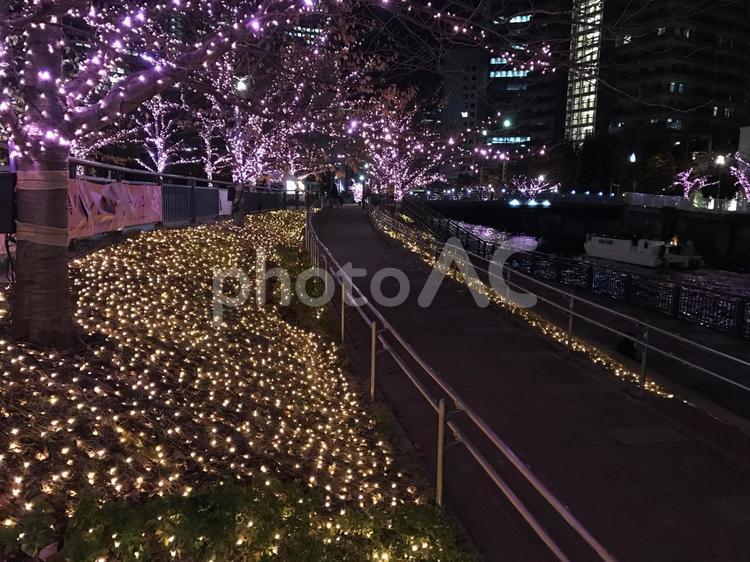 冬の夜のさくらテラス たそがれ,ぼかし,ビルの写真素材