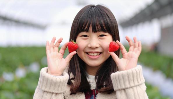 苺狩りで苺を両ほほに掲げる可愛い女の子 苺狩りで苺を両ほほに掲げる可愛い女の子の写真