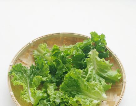 竹ざるにグリーンサラダ リーフレタス  リーフレタス,レタス,野菜の写真素材