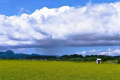 2025年8月の里山21 2025年8月の里山21の写真