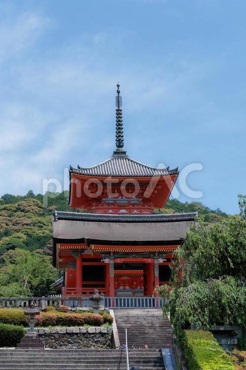 赤い塔の丘 清水寺,寺院,赤の写真素材