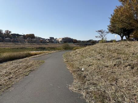 冬の公園 秋,落葉,冬の写真素材