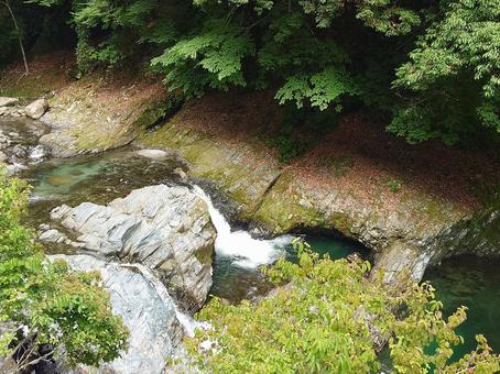 丹沢湖の上流の透き通った川 丹沢湖の上流の透き通った川の写真