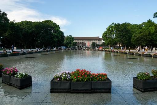 上野恩賜公園の噴水広場 上野恩賜公園,上野,噴水の写真素材