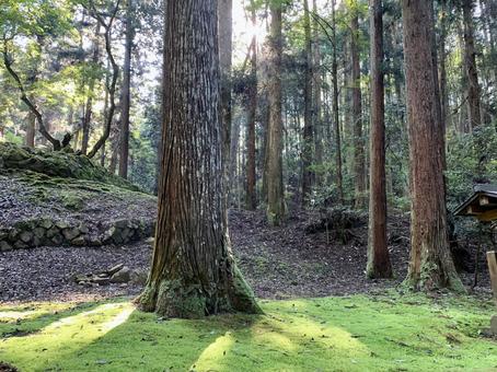 吉田郡山城2 吉田郡山城,城址,日本100名城の写真素材