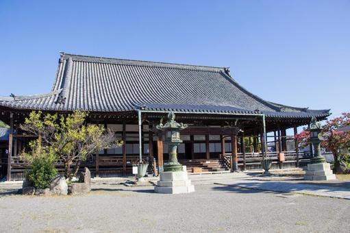 長浜御坊 本堂 長浜御坊 本堂 長浜御坊,本堂,長浜別院大通寺の写真素材