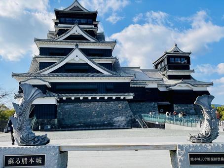 熊本城正面 熊本城正面 城,熊本城,天守閣の写真素材