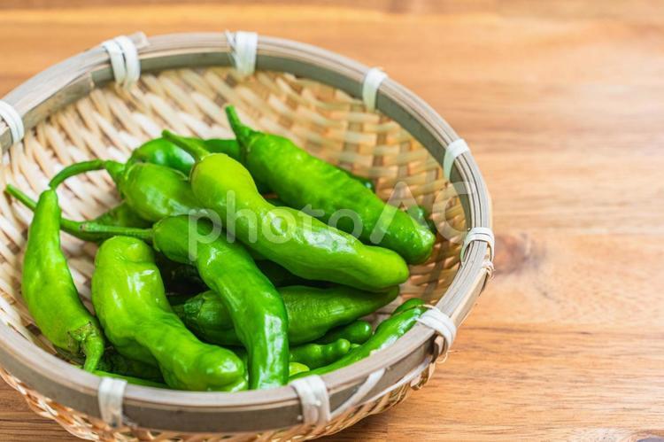 竹ざるに入った新鮮なししとう ししとう,野菜,獅子唐辛子の写真素材