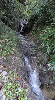 枝折峠途中にある小さな滝と小川 滝,小川,風景の写真素材