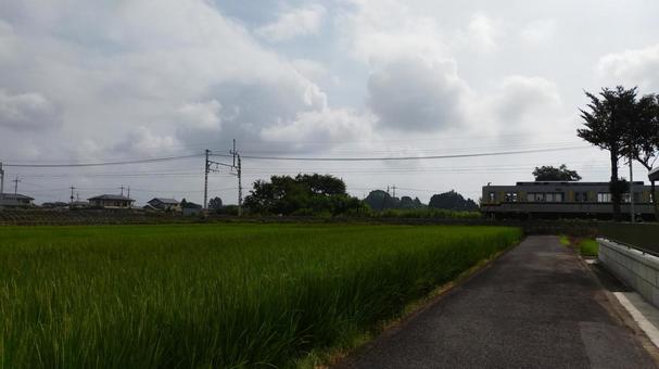 田園風景4 田園風景4の写真